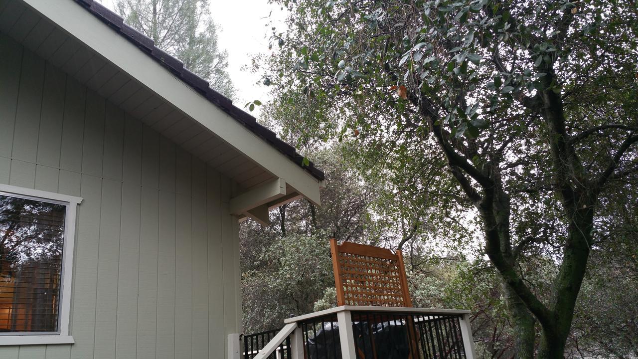 Lovely Mountain Lake Chalet By Yosemite: Equipped! Гровленд Екстер'єр фото